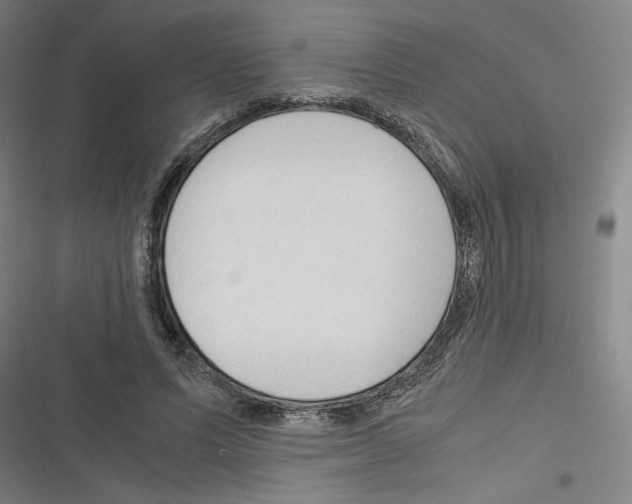 X0000116310591201001111140