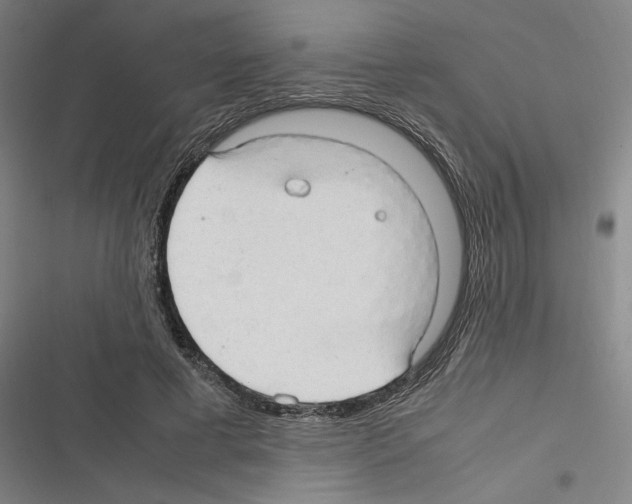 X0000116310593201001111140