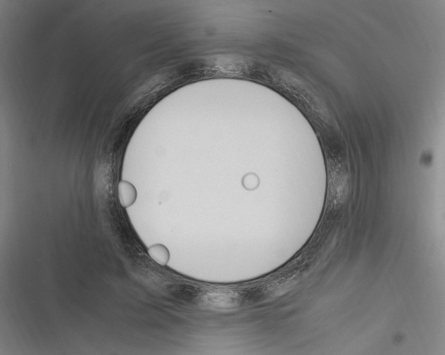 X0000116310595201001111140