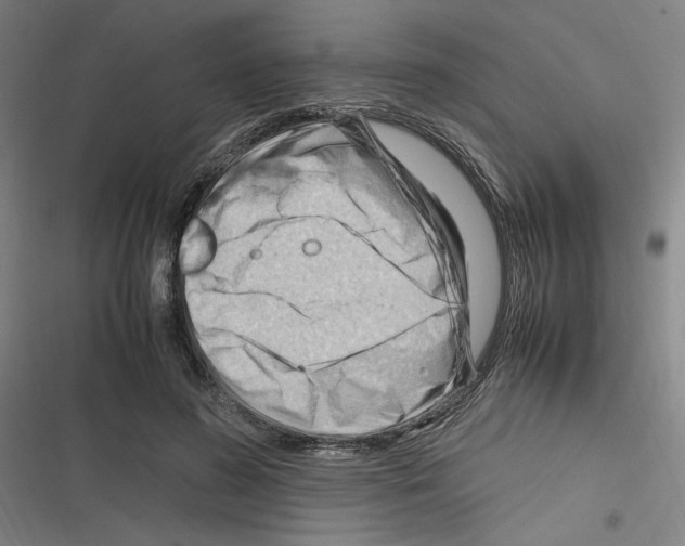 X0000116310596201001111140