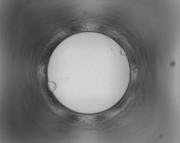 X0000116310599201001111140