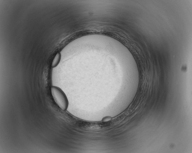 X0000116310600201001111140