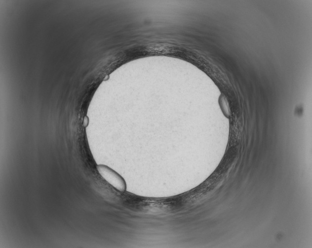 X0000116310601201001111140