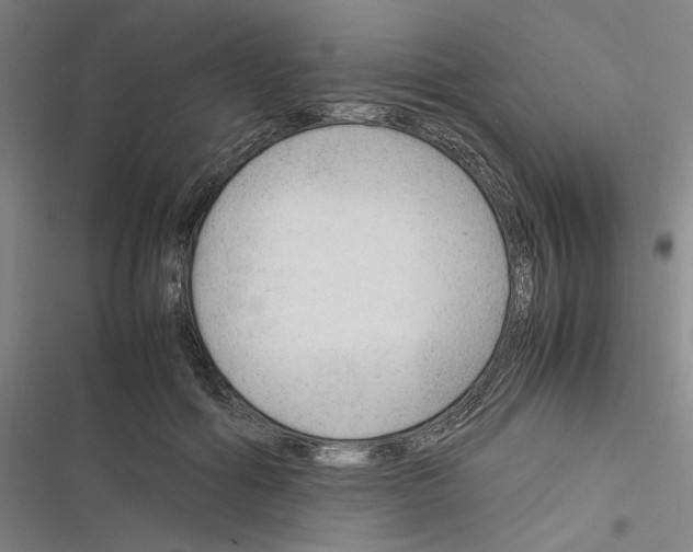 X0000116310602201001111140