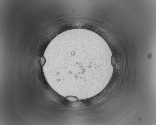 X0000116310605201001111140