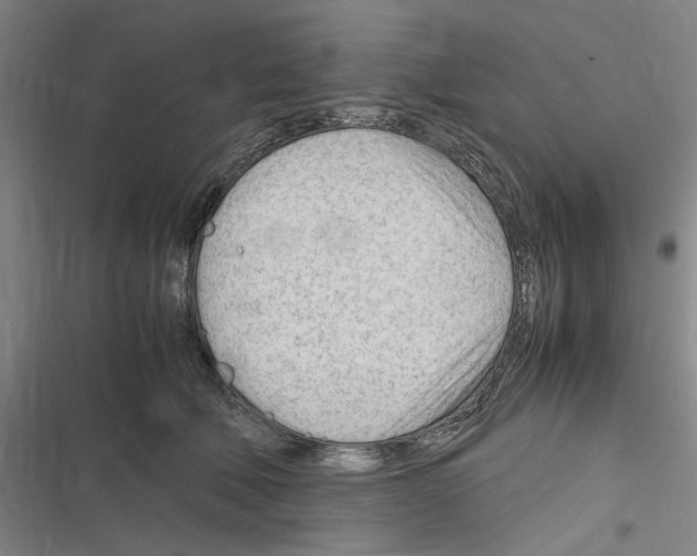 X0000116310610201001111140