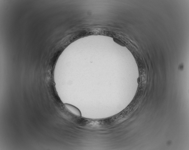 X0000116310611201001111140