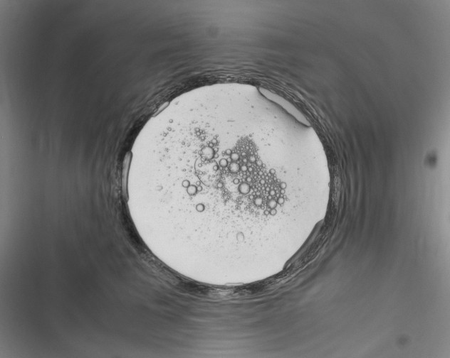 X0000116310613201001111140