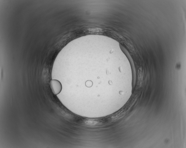 X0000116310614201001111140