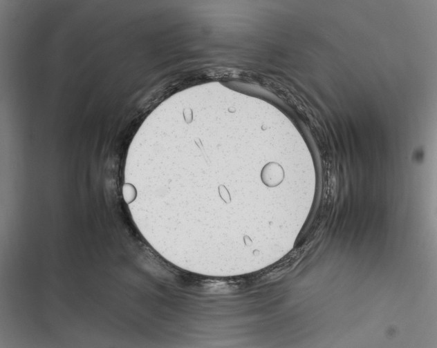 X0000116310616201001111140