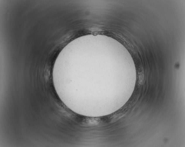 X0000116310618201001111140