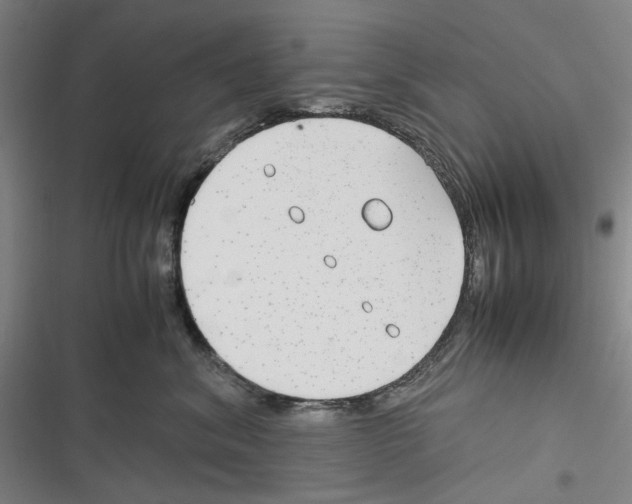 X0000116310620201001111139