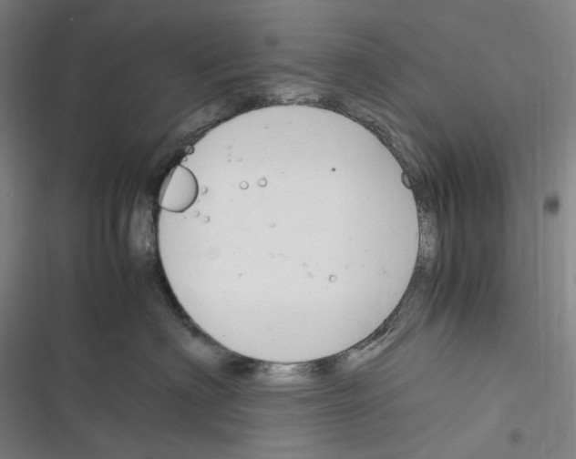 X0000116310622201001111139