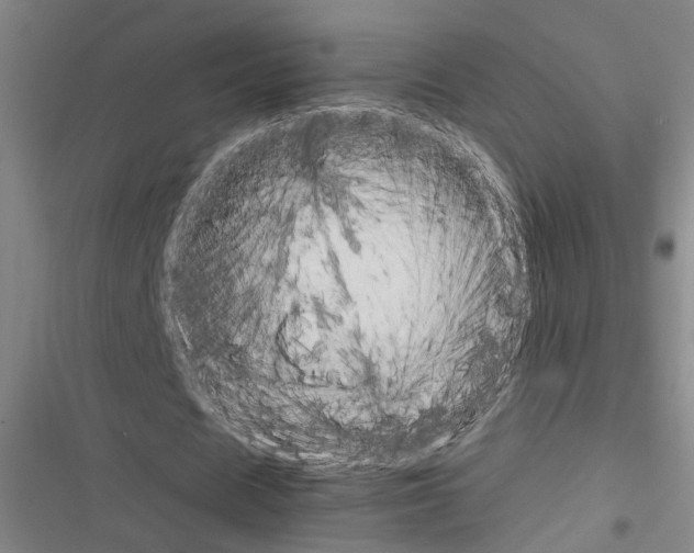 X0000116310625201001111139