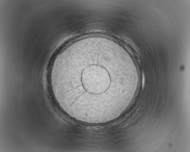 X0000116310627201001111139