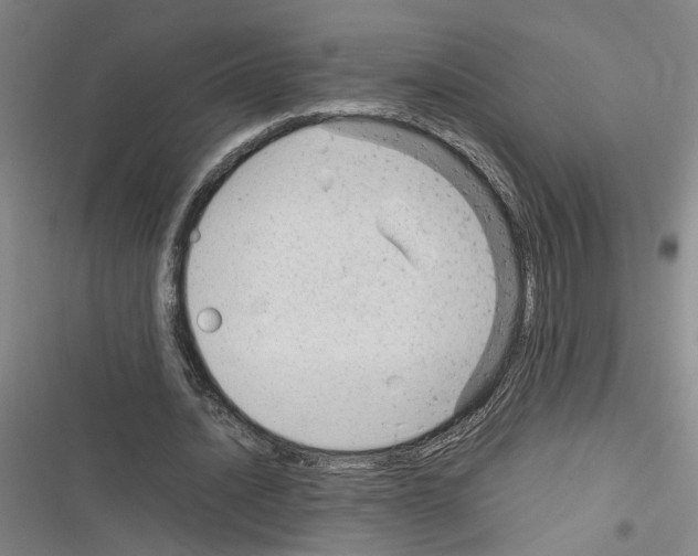 X0000116310628201001111139