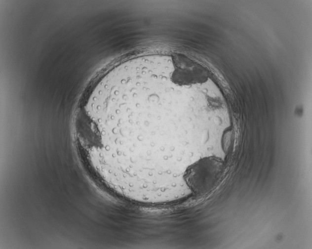 X0000116310629201001111139