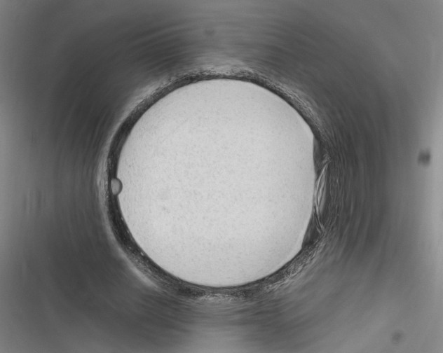 X0000116310630201001111139