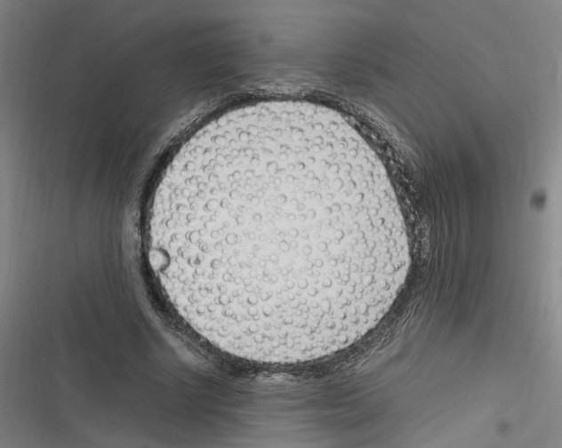 X0000116310634201001111139