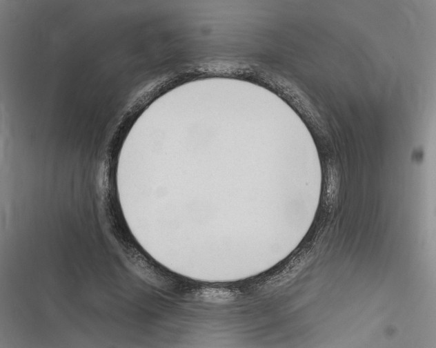 X0000116310636201001111139