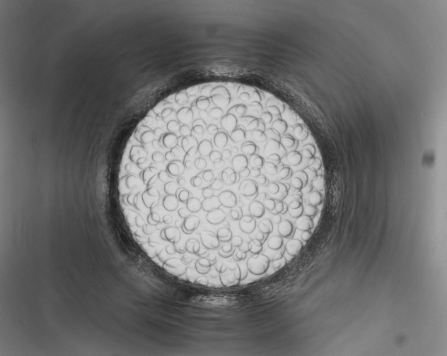 X0000116310639201001111139