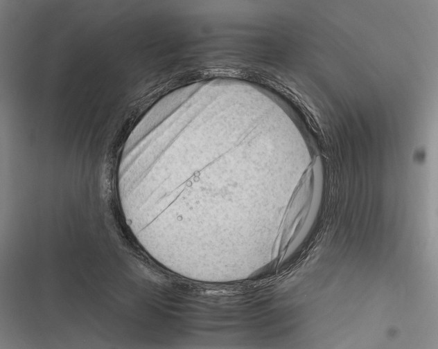 X0000116310641201001111139