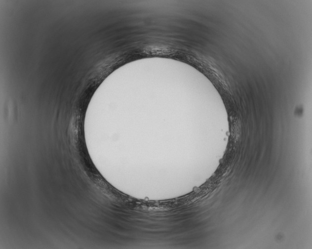 X0000116310645201001111139