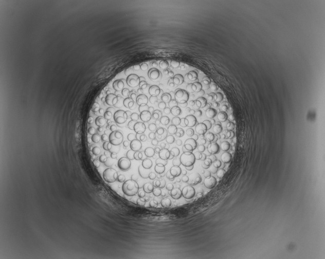 X0000116310646201001111139