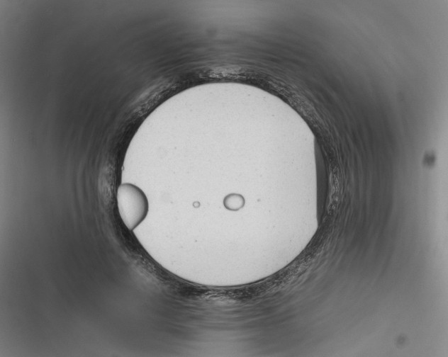 X0000116310648201001111139