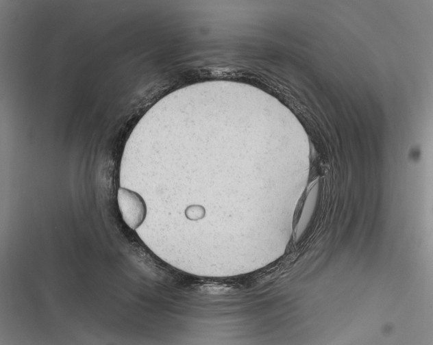 X0000116310650201001111139