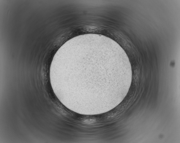 X0000116310653201001111139