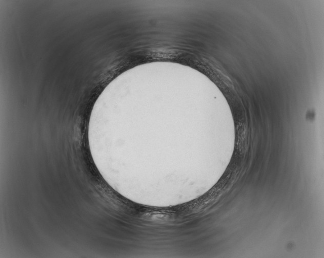 X0000116310655201001111139