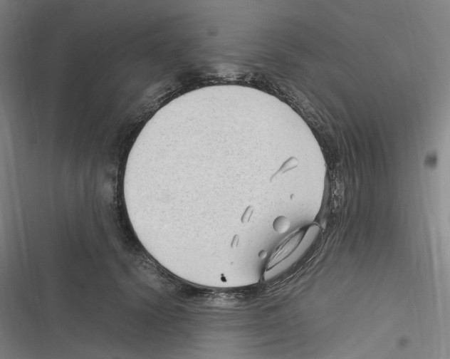 X0000116310656201001111139