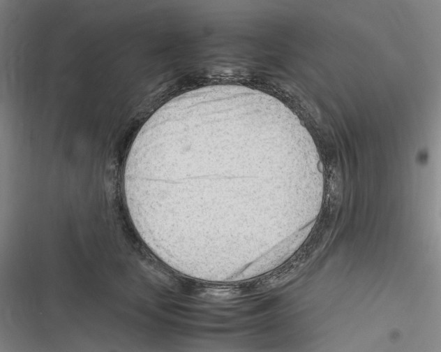 X0000116310659201001111139