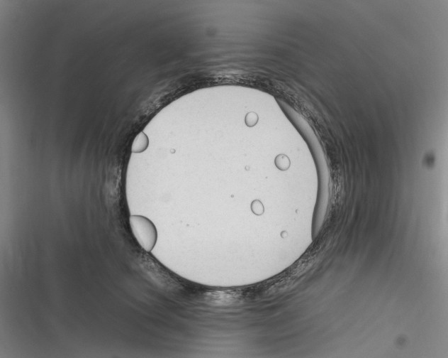 X0000116310660201001111139