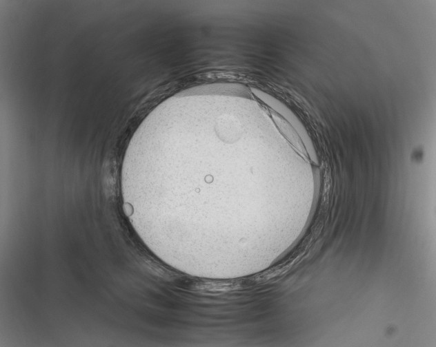 X0000116310661201001111139