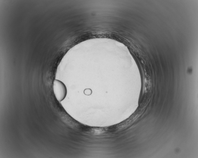 X0000116310662201001111139