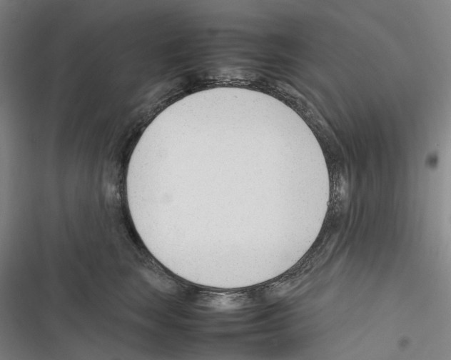 X0000116310663201001111139