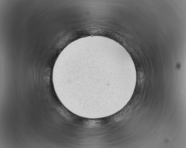 X0000116310664201001111139