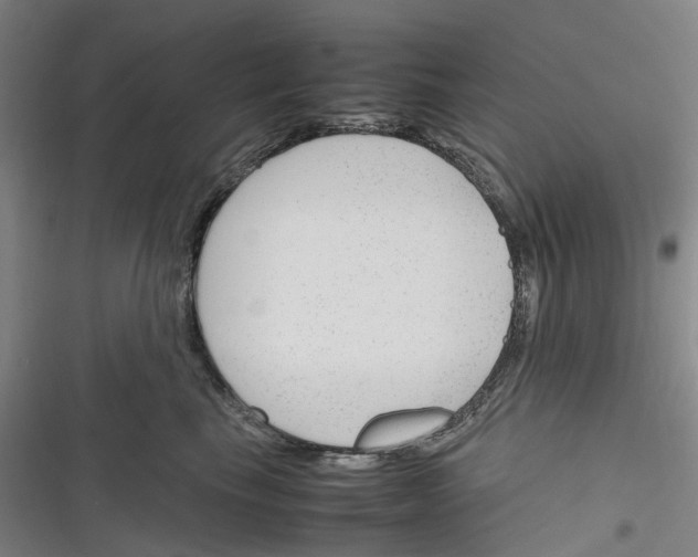 X0000116310665201001111139