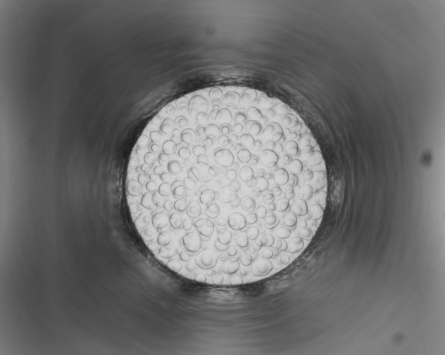 X0000116310666201001111139