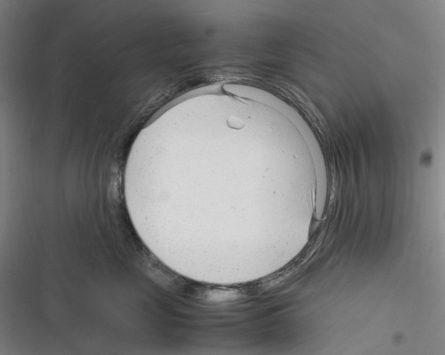 X0000116310669201001111139