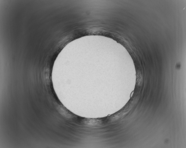 X0000116310670201001111139