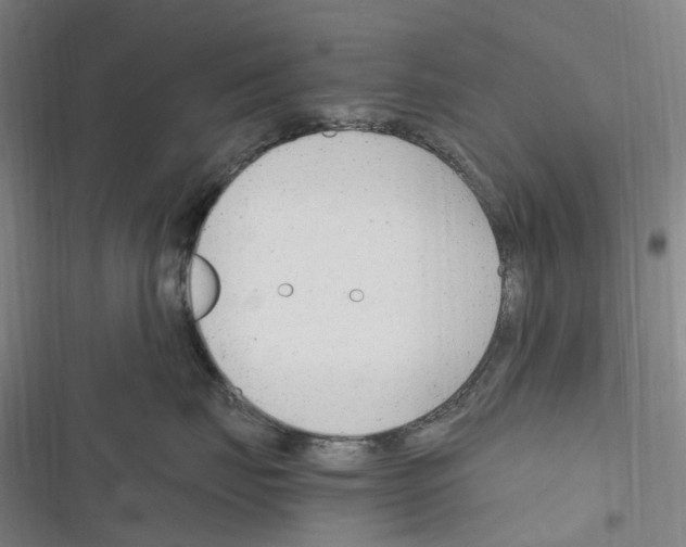 X0000116310671201001111139