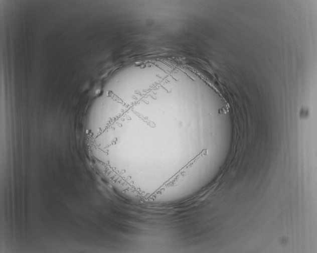 X0000116310672201001111139