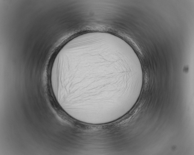 X0000116310674201001111139