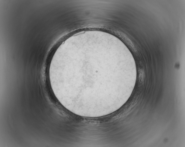 X0000116310676201001111139