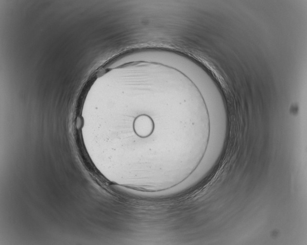 X0000116310677201001111139