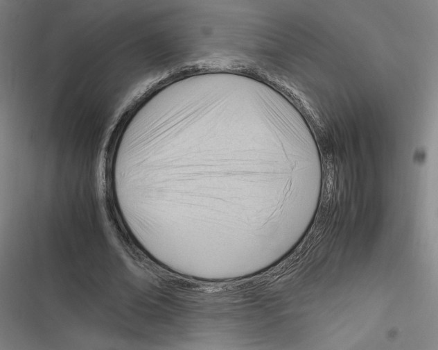 X0000116310678201001111139