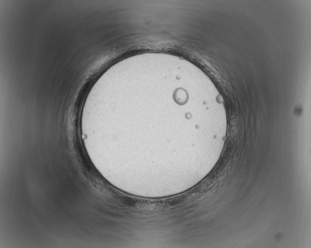 X0000116310679201001111139